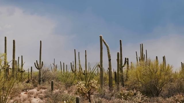 5 MORE Strange National Park Disappearances! смотреть онлайн