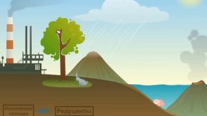 Круговорот углерода