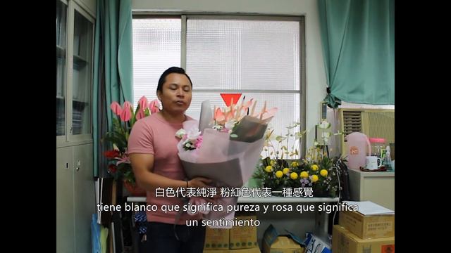 火鶴花-太極(西班牙文)Anthurium-Maxima/Tai Chi(Spanish) смотреть онлайн