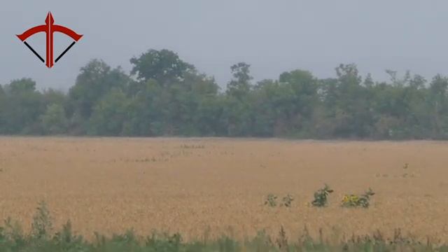 Морпехи из 810-й Бригады Черноморского Флота РФ | © 2022 смотреть онлайн