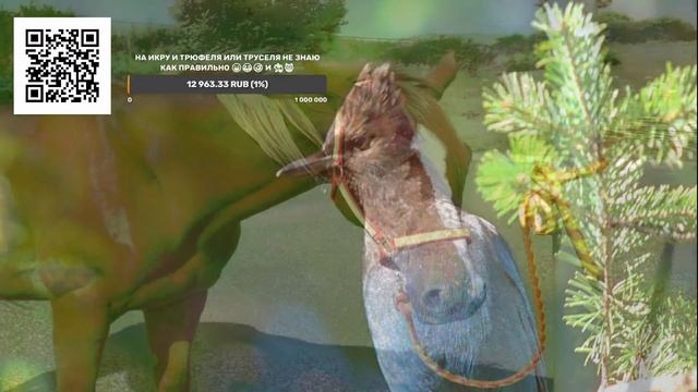 Ответы на вопросы Прямая трансляция Сказки и Фантастические истории 25.12.2021 смотреть онлайн