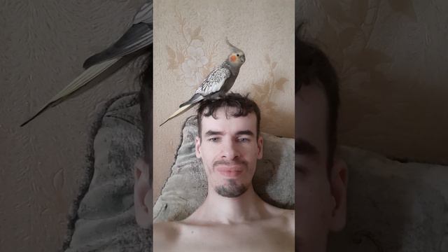С Жорей разговариваю смотреть онлайн