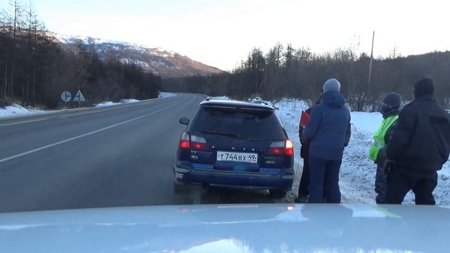 Семь краснокнижных соколов кречетов изъяли у браконьеров в Магадане смотреть онлайн