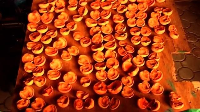 Сушим абрикос в газовой духовке. Часть 1 смотреть онлайн