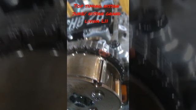 Top timing nissan juke/ nissan grand livina L11