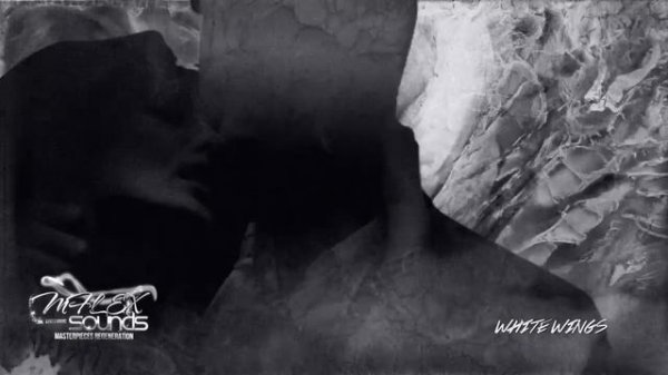 MFLEX SOUNDS - WHITE WINGS