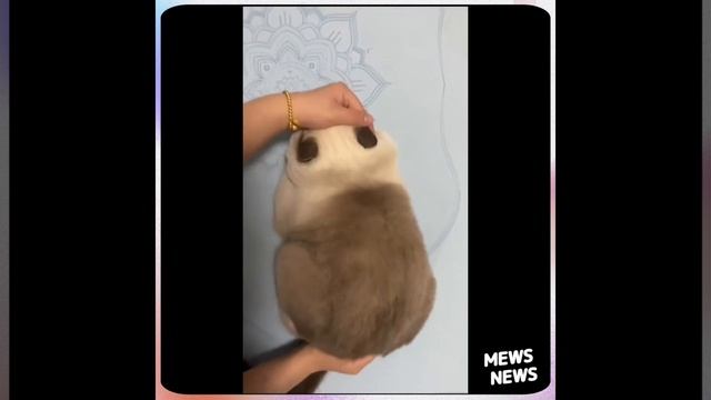 Рецепт вкусного пушистого хлеба | Mews News смотреть онлайн