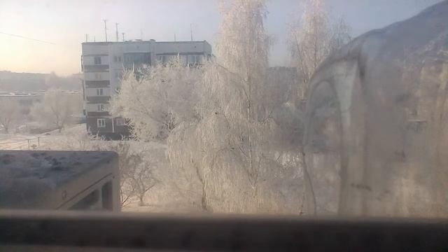 жизнь синиц. первая серия смотреть онлайн