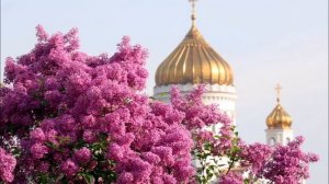 С 1 мая! Утро красит нежным  светом стены древнего  Кремля...