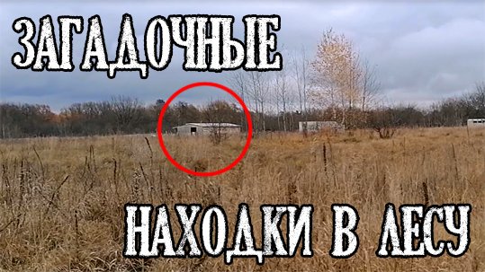 Загадочные находки в лесу во время похода