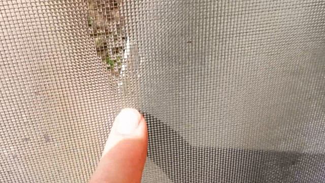 Поверхностное натяжение на примере москитной сетки смотреть онлайн