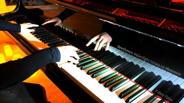 Beethoven - Moonlight Sonata 1st movement смотреть онлайн