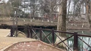 Иноземцево пос. Капельница озеро Капка.