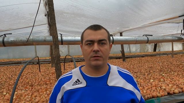 СКОЛЬКО ВМЕЩАЕТСЯ КИЛОГРАММ ЛУКА НА ОДИН КВАДРАТНЫЙ МЕТР. ВЫРАЩИВАНИЕ ЛУКА НА ПЕРО. смотреть онлайн