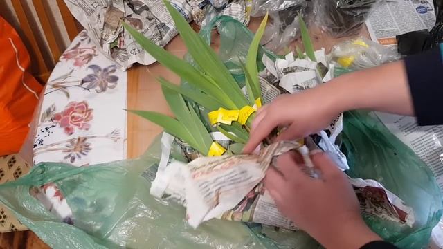 Дела садовые#какие растения я купила в сад-огород#часть 2 смотреть онлайн