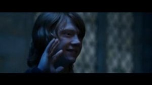 Рон и Гермиона