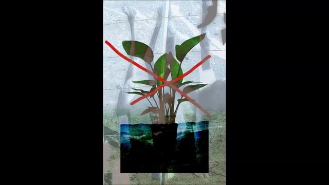 ungreen plant - mr pc (sketch) смотреть онлайн