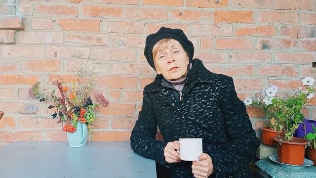 Славянск, сегодня 15 октября 2022, утро 0° смотреть онлайн