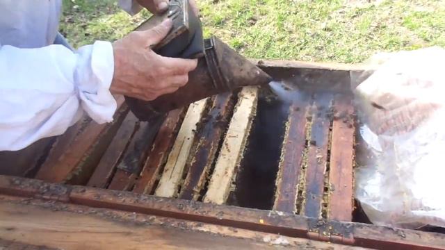 ПЧЕЛЫ (Усиление семьи молодой пчелой) смотреть онлайн
