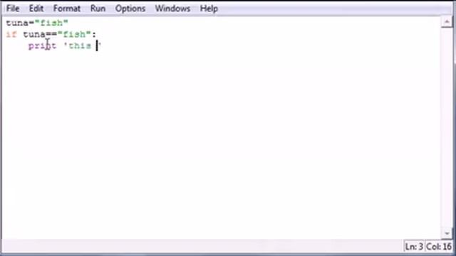 (Python) 20 - If Statement (Python Programming Tutorial) смотреть онлайн