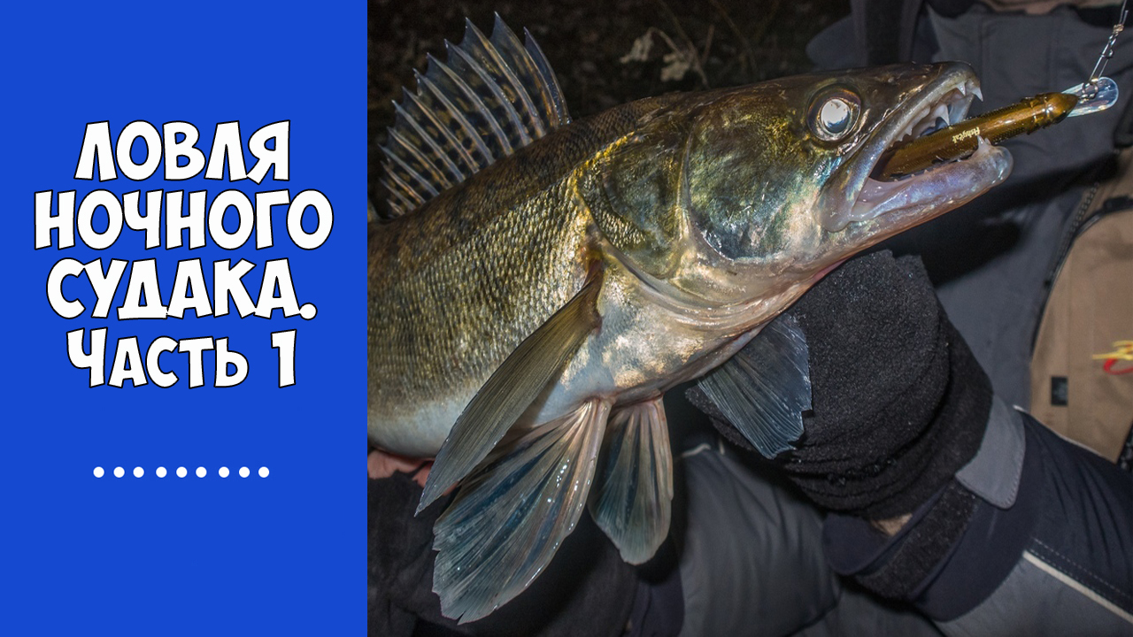 Ловля ночного судака на воблеры. Часть 1