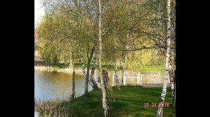 Сергей Есенин, романс "Не жалею, не зову, не плачу"(исполнение моё)