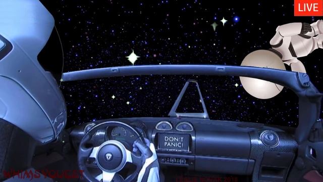 Starman in Space : Tesla car SpaceX Falcon / Live : WhimsyQuest "Starman and the Hitchhikers" смотреть онлайн