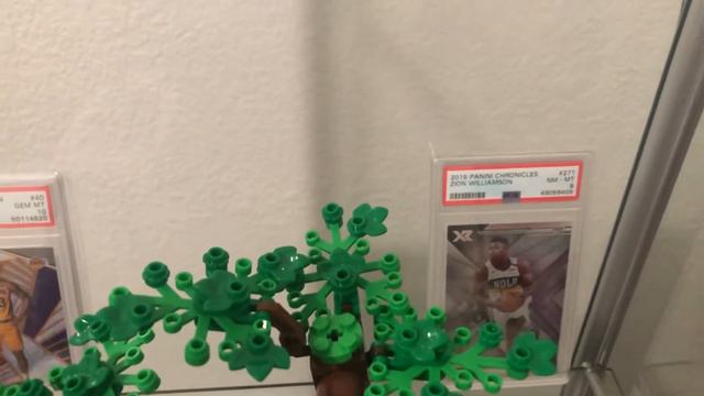 NBA CARDS PSA GRADED & LEGO BONSAI TREE смотреть онлайн