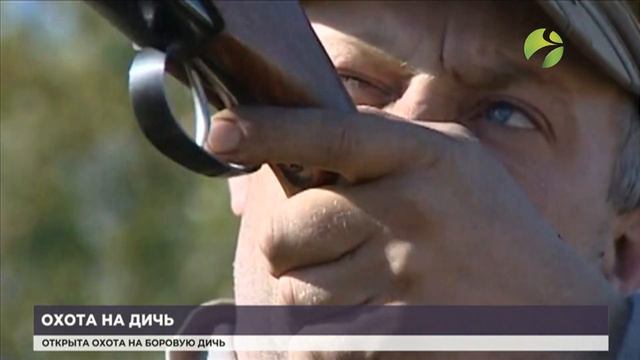 На Ямале открыт сезон охоты на боровую дичь смотреть онлайн