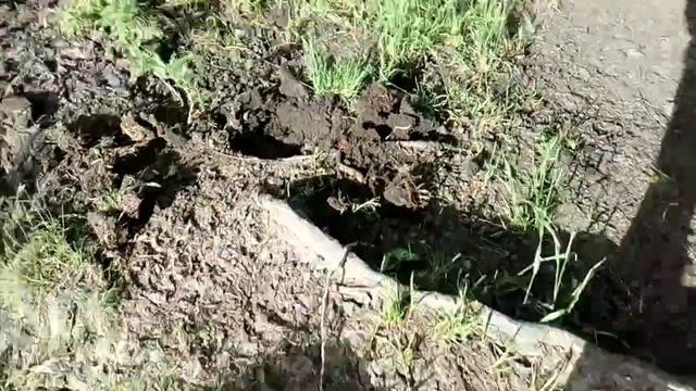Отличный шурф 2019!!! Монеты в сохране!.. X-Terra 705!!! смотреть онлайн