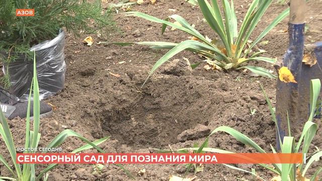 Ростов сегодня: вечерний выпуск. 15 октября 2021 смотреть онлайн