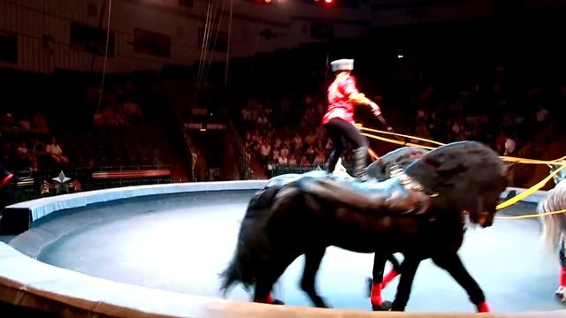 vlog ☀️ КУПИЛИ БЕГОВЕЛ / ВОСХИТИТЕЛЬНЫЙ ЦИРК / ГУЛЯЕМ ПО ЦЕНТРУ С БРАТОМ смотреть онлайн