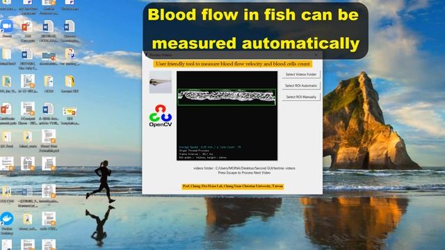 OpenCV-based blood flow measurement in fish embryos смотреть онлайн