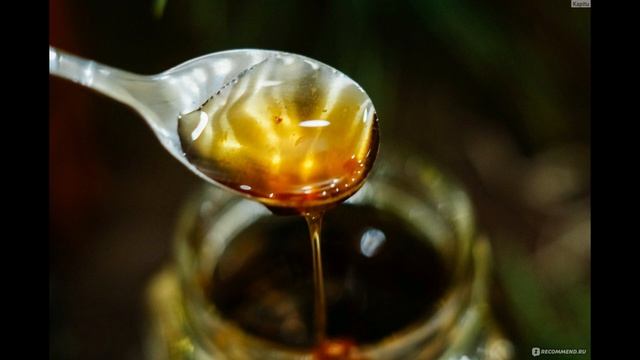 Паразиты. Варенье от лямблий смотреть онлайн