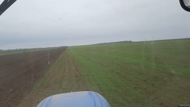 Овсюг- крепкий сорняк. смотреть онлайн
