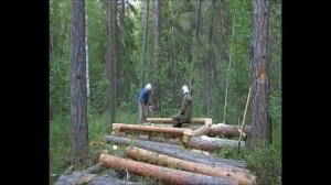 ЛЕСНАЯ ИЗБА. Строительство проходного зимовья в тайге.