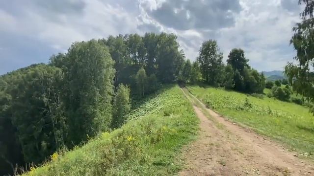 Продаю земельный участок на Ая, Горный Алтай 3.6 га +79039495791 смотреть онлайн