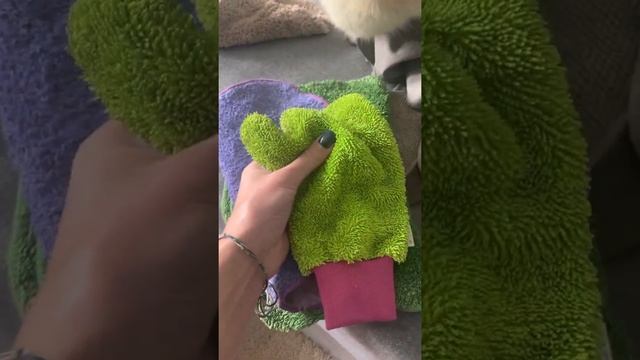 Обзор FIBER для дома ? смотреть онлайн