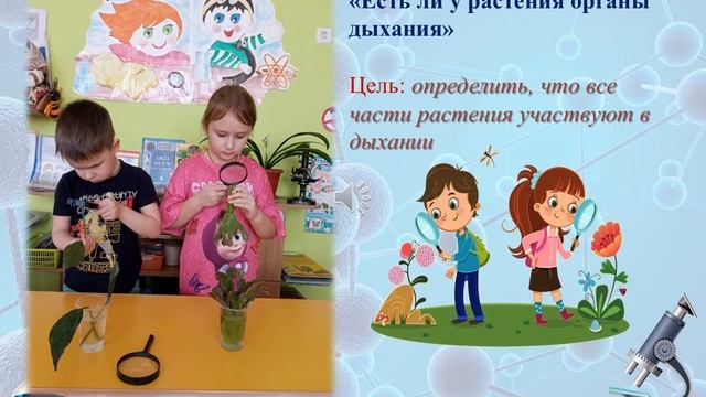 Князева Л В Детское экспериментирование как средство развития познавательной активности смотреть онлайн