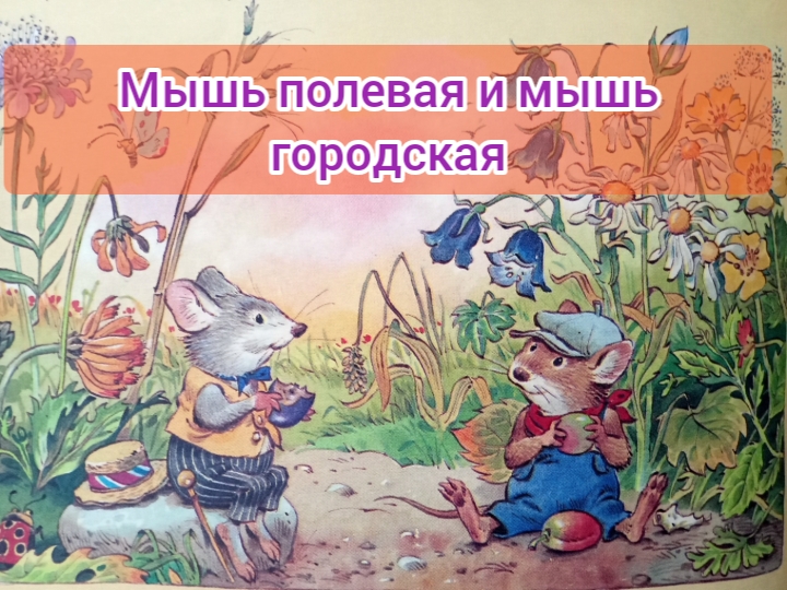 Детская сказка "ПРО МЫШЬ ПОЛЕВУЮ И МЫШЬ ГОРОДСКУЮ" смотреть онлайн