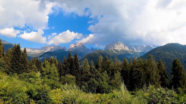 Пение птиц в горах для релаксации. Птичьи голоса для сна