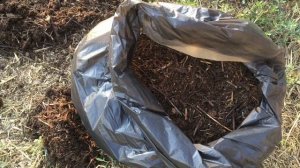 Выращивание ШАМПИНЬОНОВ!! Посев МИЦЕЛИЯ!! Изготовления КОМПОСТА!!