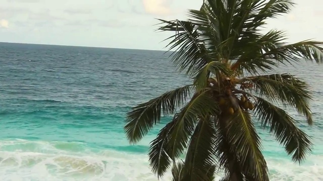 Banyan Tree Seychelles смотреть онлайн