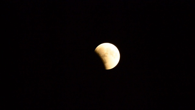 DSC_1042 смотреть онлайн
