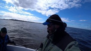 На что и как ловить салаку?Советская снасть по-прежнему лучшая? [Простая рыбалка]