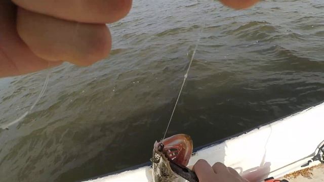 Судак, щука и новая жизнь силиконовых приманок :) осеняя рыбалка. смотреть онлайн