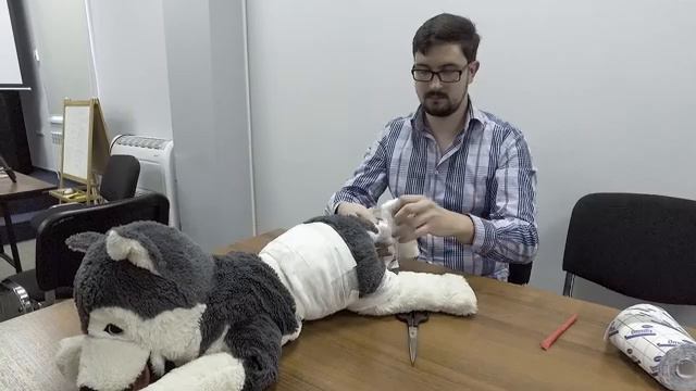 Практическое занятие для волонтеров - Наложение повязок животным. Часть 1 смотреть онлайн