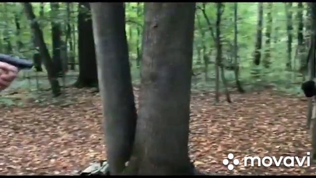 Охрана общественного порядка в Державе Великорусия смотреть онлайн