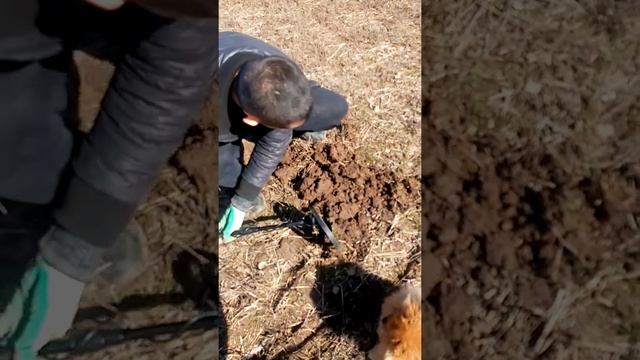 Тест металоискателя мд 4080 на природе смотреть онлайн
