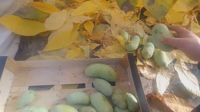 АЗИМИНА В БЕЛАРУСИ, закрываем сезон 2019. смотреть онлайн